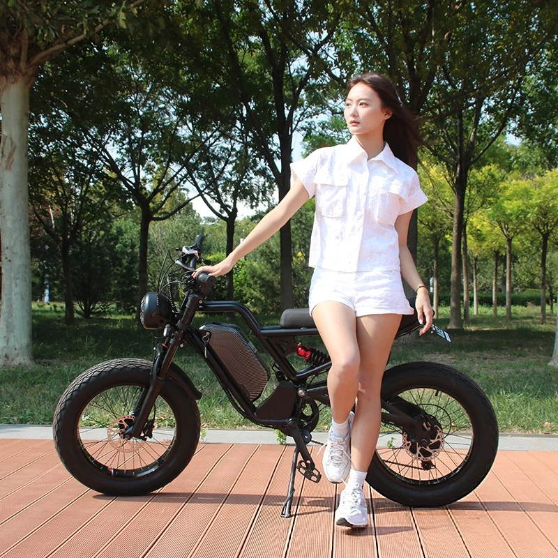SXLL SXLL13Ah lithium battery  - огляд і ціна 48V 1500W Rear Hub Motor With Battery